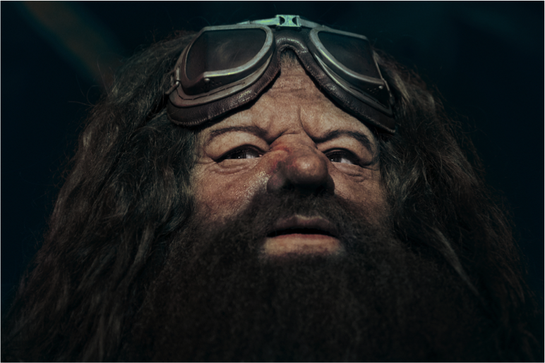 Hagrid-3