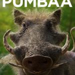 The Lion King (2019)Character posterCR: Disney