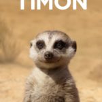 The Lion King (2019)Character posterCR: Disney