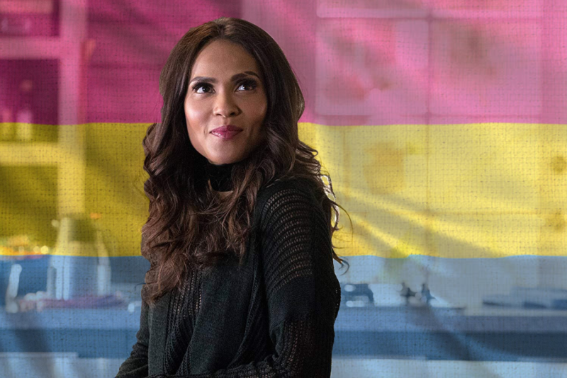 Maze with a Pansexual Pride flag background