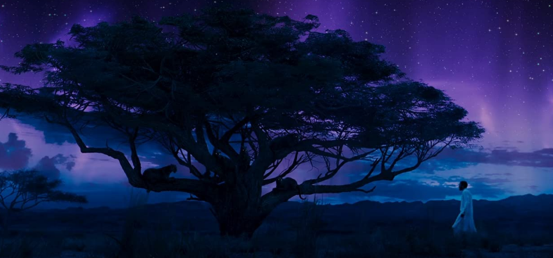 Screen Shot 2020-08-30 at 2.35.35 PM