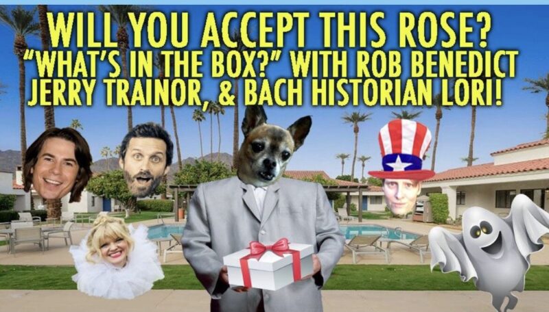 will you accept this rose?