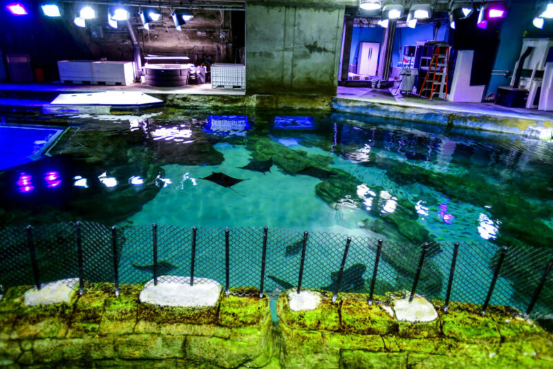 seaworld inside look