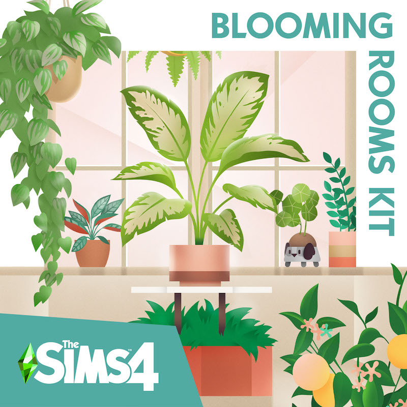 FDNCzIXXEAU9fZ3 Blooming Rooms Kit cover image