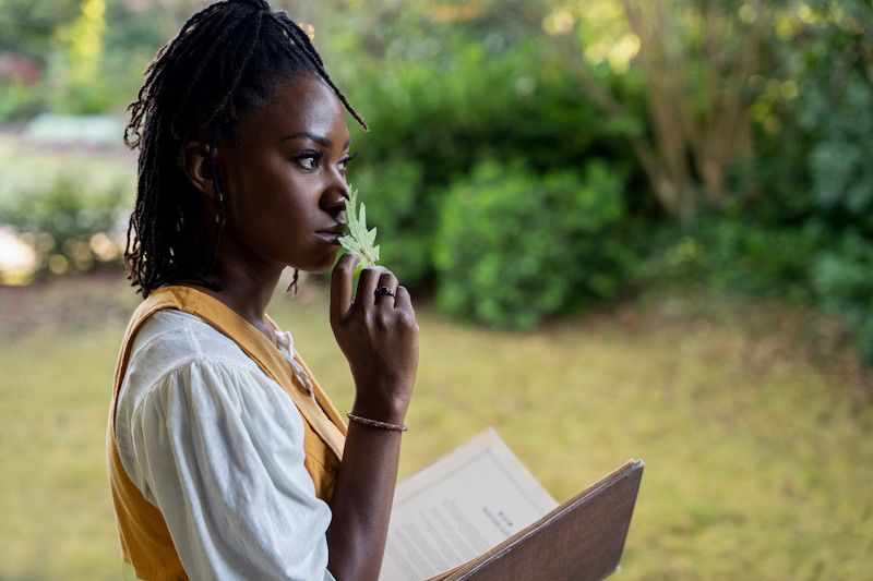 legacies You’re A Long Way From Home