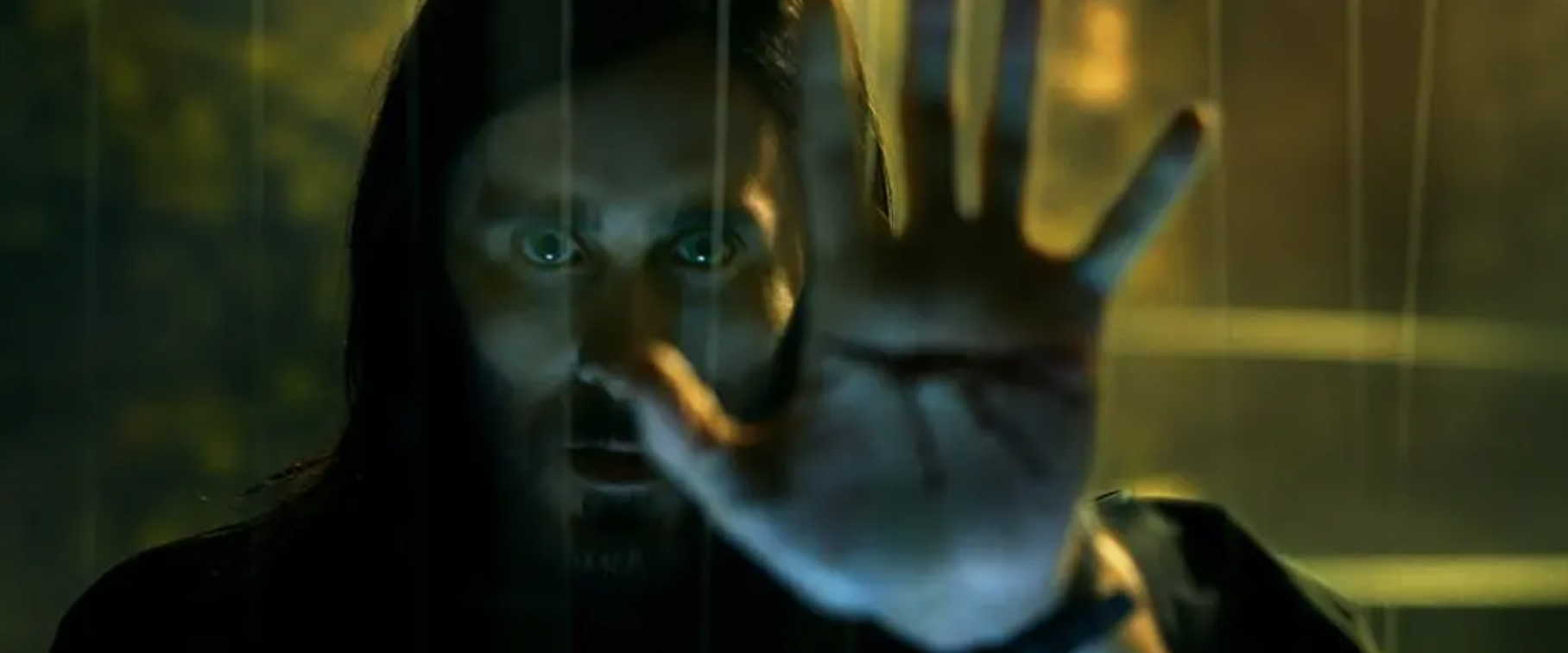 Screen Shot 2021-11-02 at 9.15.22 AM