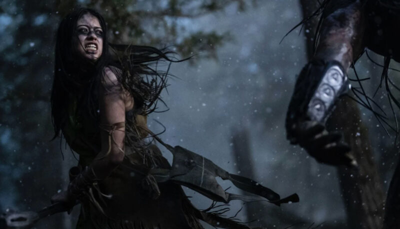 predator cover image