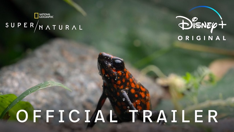 Super Natural cover image